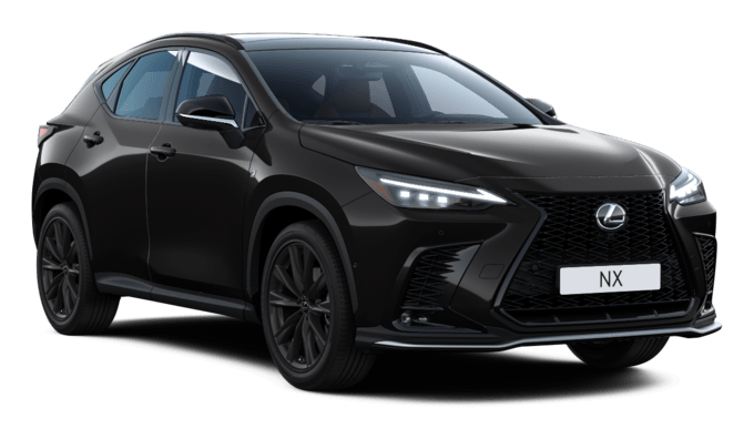 NX - F Sport - 5 dyra