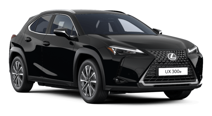 UX - Comfort - Wagon 5 dyra