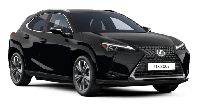 UX - Luxury - Wagon 5 dyra