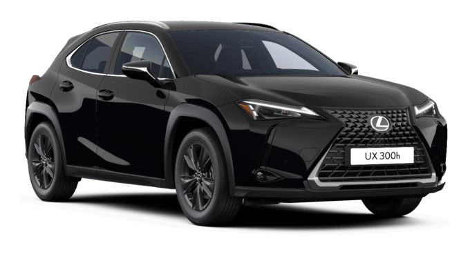 UX - Comfort - Wagon 5 dyra