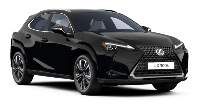 UX - Luxury - Wagon 5 dyra