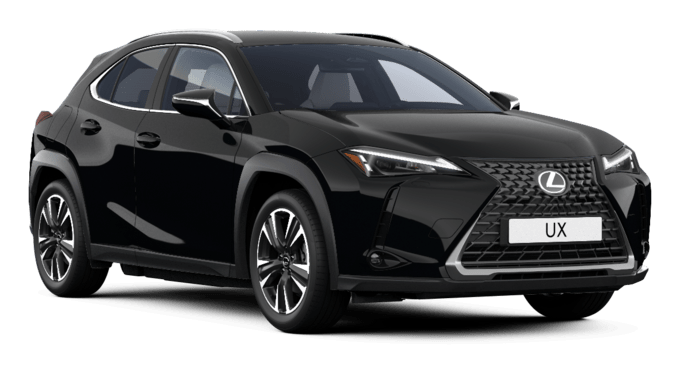 UX - Premium - 5 dyra