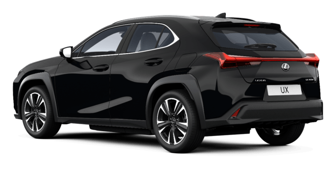 UX - Premium - 5 dyra