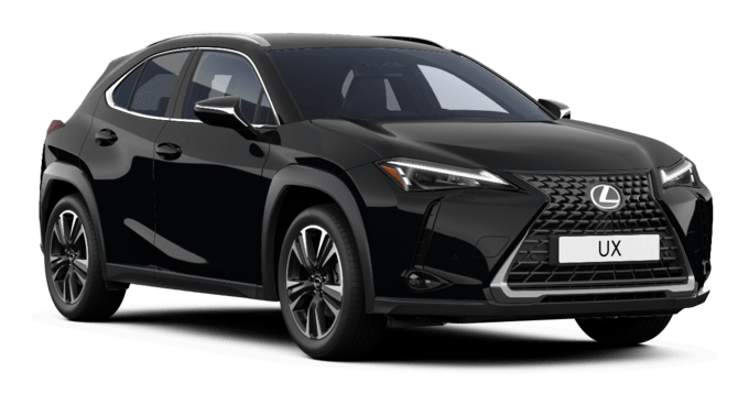 UX - Premium - 5 dyra