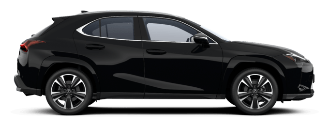 UX - Luxury - 5 dyra