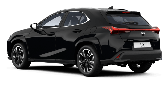 UX - Luxury - 5 dyra