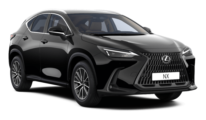 NX - Executive Plug-in - 5 dyra
