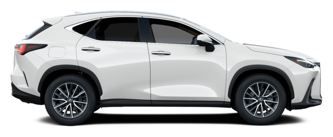 NX - Executive Plug-in - 5 dyra