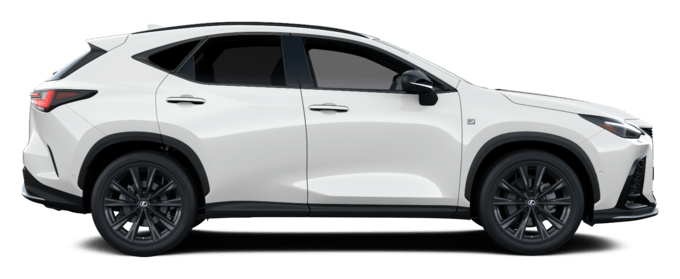 NX - F Sport - 5 dyra