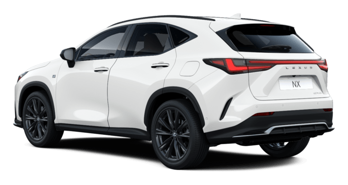 NX - F Sport - 5 dyra