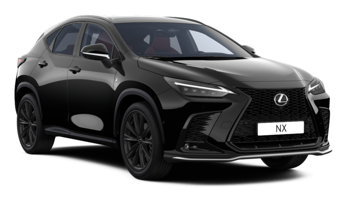 NX - F Sport - 5 dyra