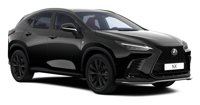 NX - F Sport - 5 dyra