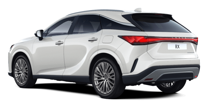 RX - Luxury - 5 dyra