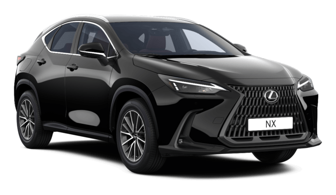NX - Executive Plug-in - 5 dyra