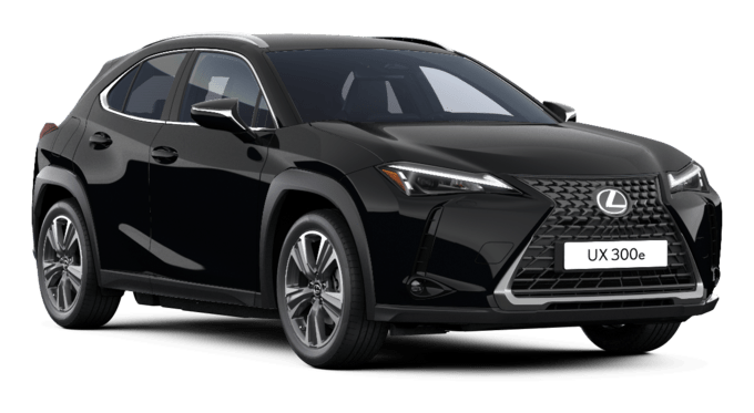UX - Premium - Wagon 5 dyra