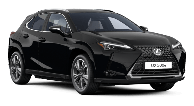 UX - Luxury - Wagon 5 dyra