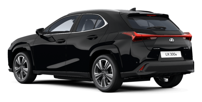 UX - Luxury - Wagon 5 dyra