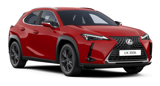 UX - Comfort - Wagon 5 dyra