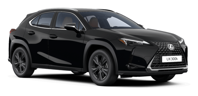 UX - Comfort - Wagon 5 dyra