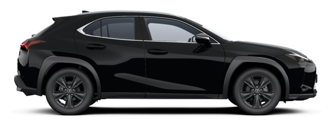 UX - Comfort - Wagon 5 dyra