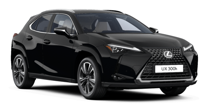 UX - Luxury - Wagon 5 dyra
