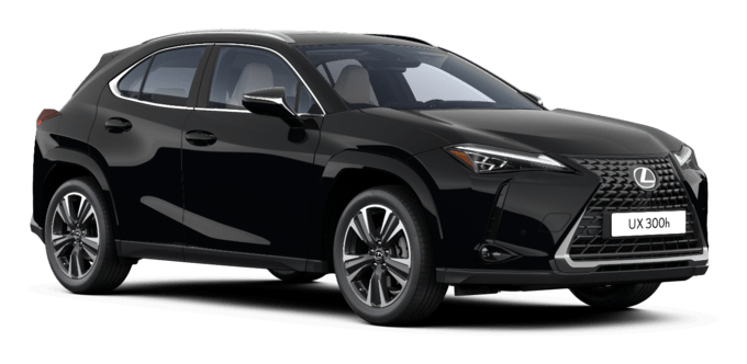 UX - Luxury - Wagon 5 dyra