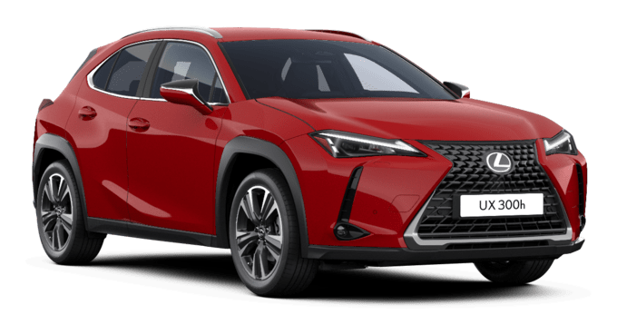 UX - Comfort - Wagon 5 dyra