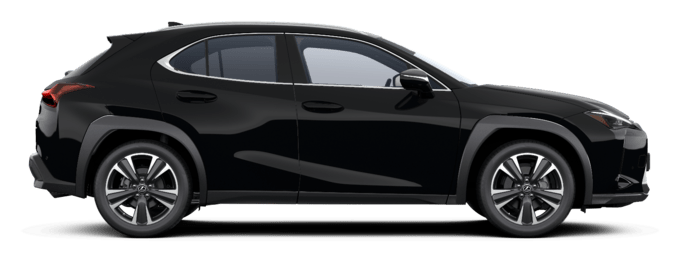 UX - Comfort - Wagon 5 dyra