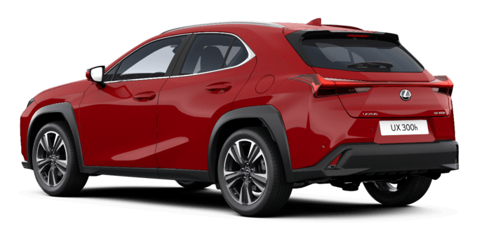 UX - Comfort - Wagon 5 dyra