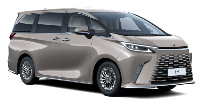 LM - VIP - 5-дверный минивэн