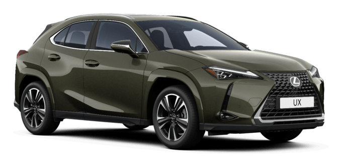 UX - Luxury - Miesto visureigis