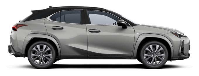 UX - F SPORT - Miesto visureigis