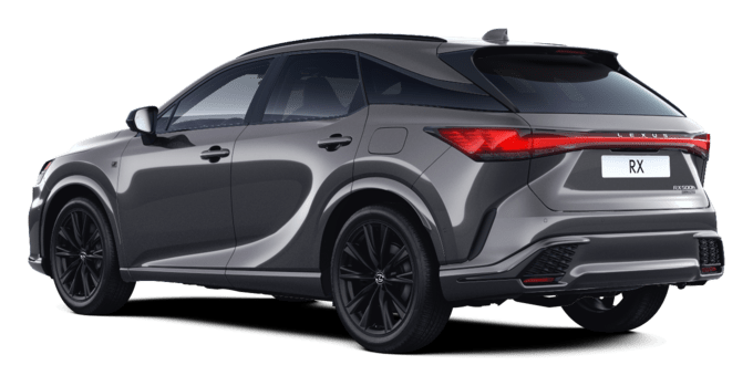 RX - F SPORT+ - 5 durelių miesto visureigis