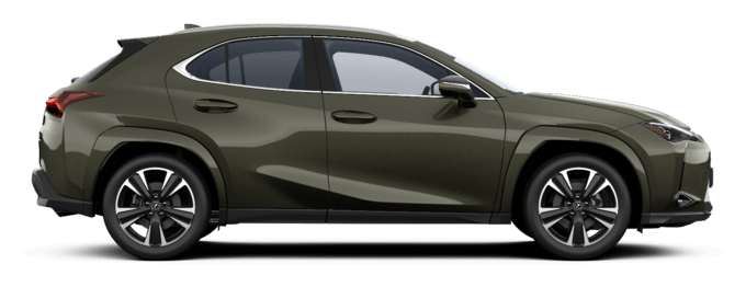 UX - Luxury - Miesto visureigis