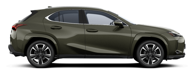 UX - Luxury - Miesto visureigis