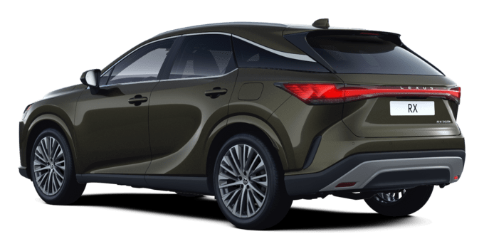RX - Executive - 5 durelių miesto visureigis