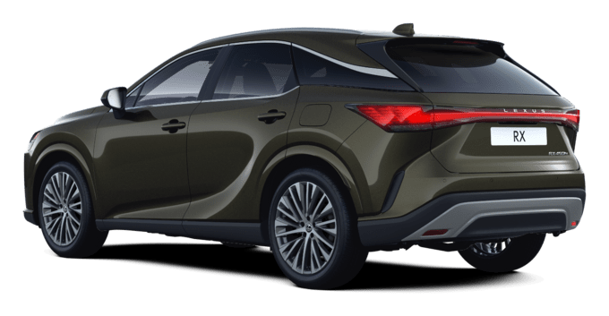 RX - Executive - 5 durelių miesto visureigis