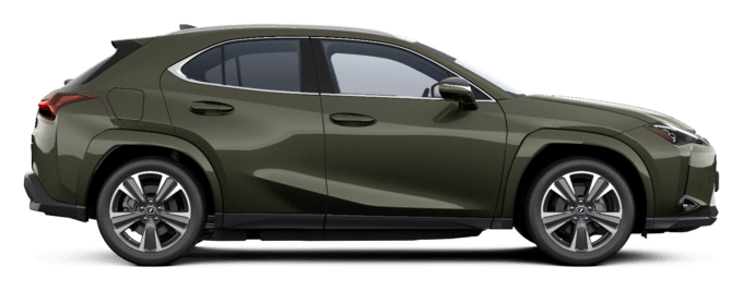 UX - Luxury - Miesto visureigis