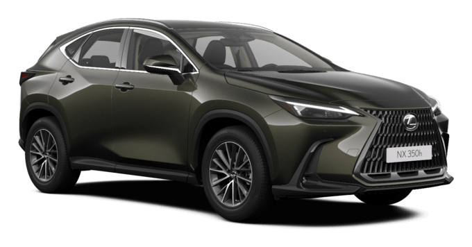 NX - Business - SUV 5-ДВЕРНЫЙ