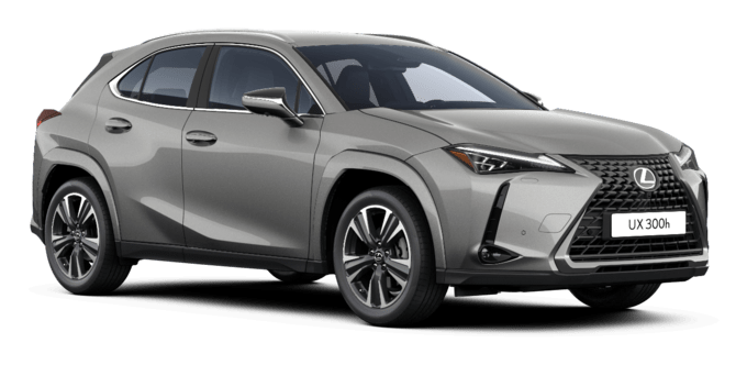 UX - OMOTENASHI - 5-drzwiowy SUV