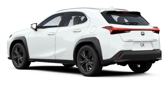 UX - BUSINESS - 5-drzwiowy SUV
