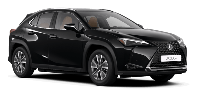 UX - BUSINESS - 5-drzwiowy SUV
