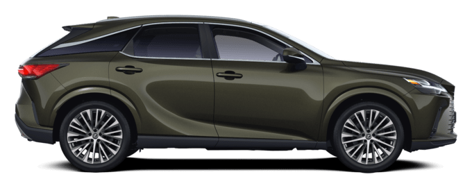RX - Executive - SUV