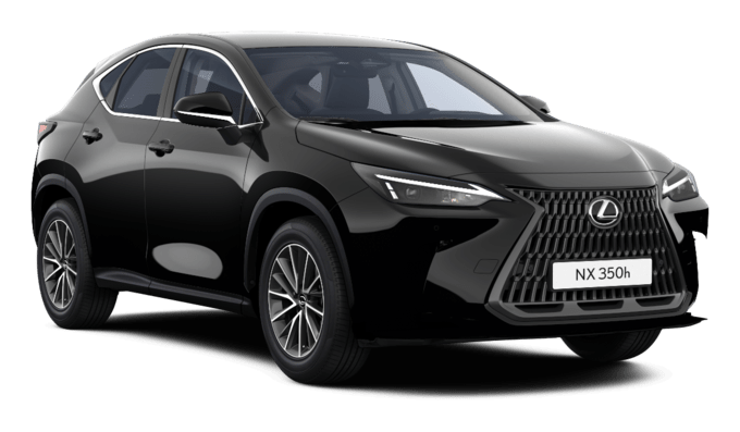 NX - Executive - SUV