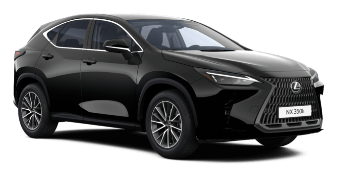 NX - Executive - SUV
