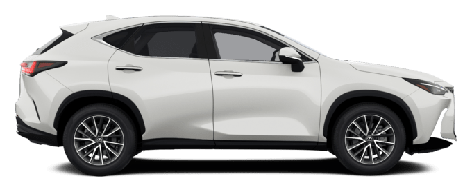 NX - Executive - SUV