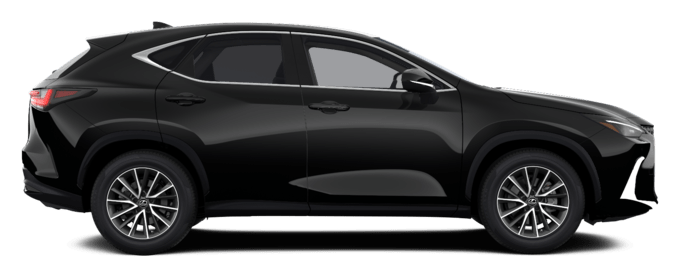 NX - Executive - SUV