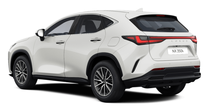 NX - Executive - SUV
