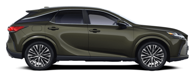 RX - Executive - SUV