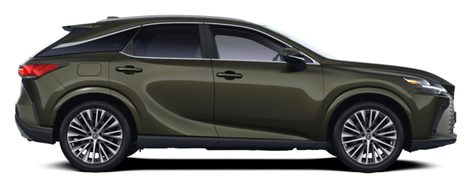 RX - Premium - SUV